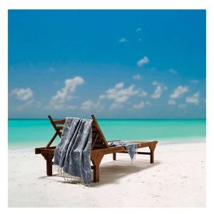 NWT Whitley Willows Sand Free Beach Towel 2 Pack